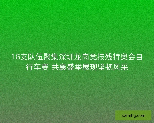 16支队伍聚集深圳龙岗竞技残特奥会自行车赛 共襄盛举展现坚韧风采